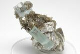 Gemmy Aquamarine Crystals with Muscovite - Skardu, Pakistan #207192-1